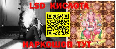 дмт Будённовск