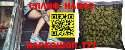 дмт Будённовск