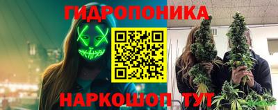 дмт Будённовск