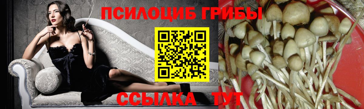 Псилоцибиновые грибы мицелий Рославль